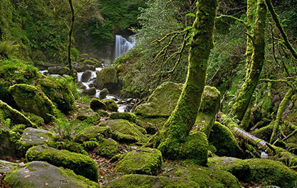 Creating impact for your clients, their financial goals, and their future