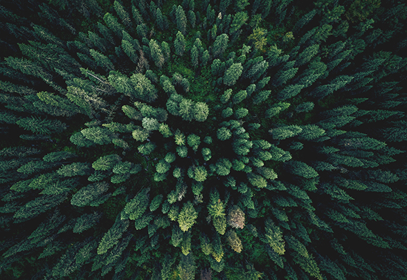 Category intro image