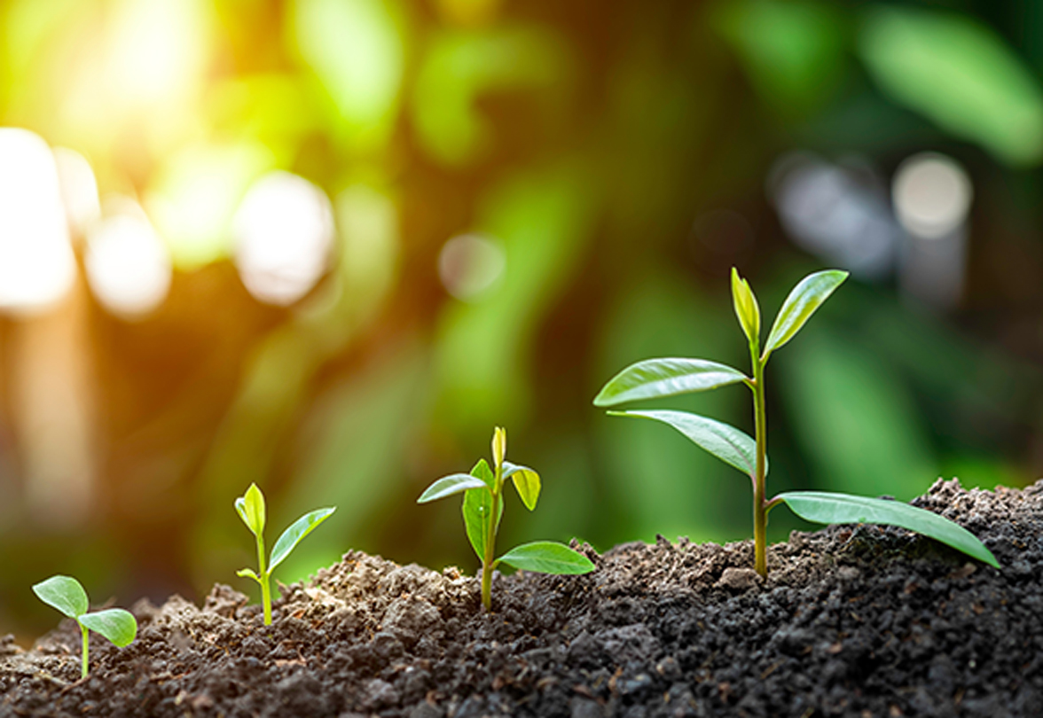 ESG/Ethical Funds